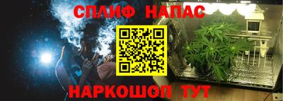 прущая мука Пугачёв
