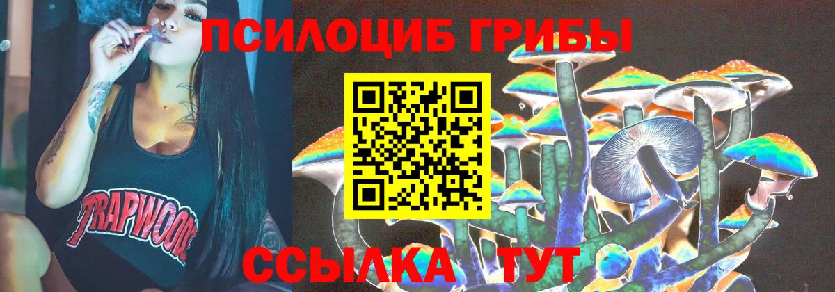 наркотики  Галлюциногенные грибы GOLDEN TEACHER  Мытищи  Вход с VPN  Галлюциногенные грибы ЛСД 