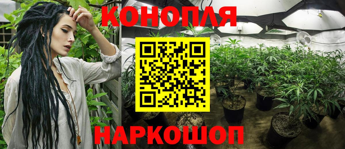 Мытищи  Конопля OG Kush  Бошки Шишки VHQ  Вход с VPN 